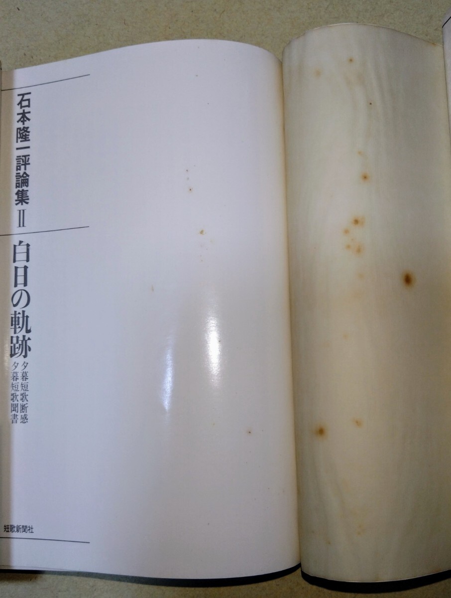 石本隆一評論集Ⅰ～Ⅹ 10冊揃（氷原叢書）｜ayahoo｜千纸鹤日淘