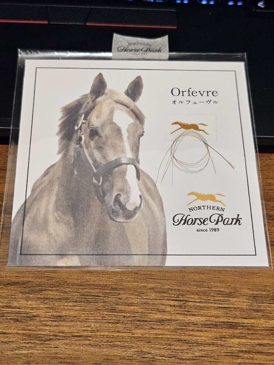 新品未開封オルフェーヴルたてがみ鬣本物非売品ウマ娘｜ayahoo｜千纸鹤日淘
