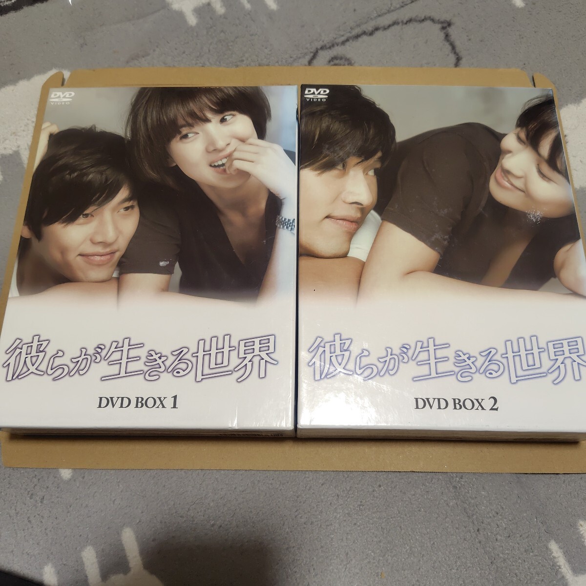 彼らが生きる世界 DVD BOX I 韓国ドラマ I、II 「彼らが生きる世界